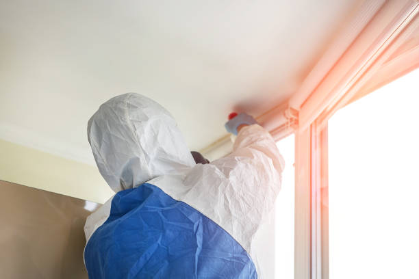 Best Industrial Mold Remediation  in Rome, NY