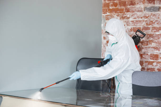 Best Mold Removal for HVAC Installations  in Rome, NY