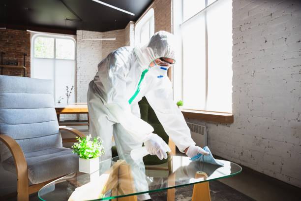 Professional Mold Removal Services in Rome, NY