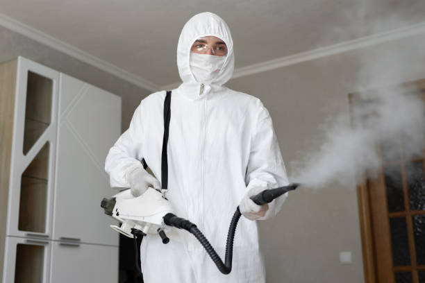 Best Emergency Mold Remediation  in Rome, NY